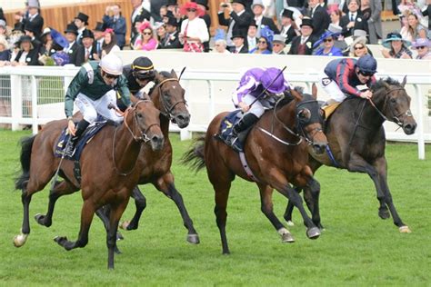 2024 Queen Elizabeth II Jubilee Stakes: Race History.
